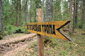 Бревно © vikhon