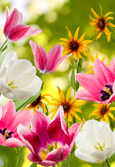 Image of different beautiful flowers