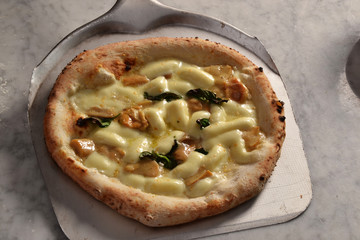 Pizza con hongos recien horneada.