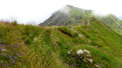 karnischer Höhenweg - Österreichisch-Italienische Grenze - Bergkamm