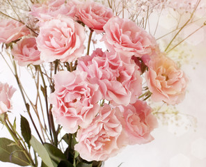 Tender pink tea roses background with bokehs and color hues