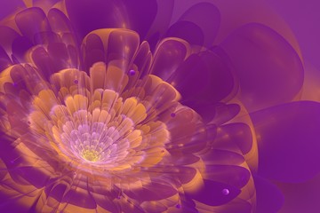 Violet and Orange Color in fractal flower