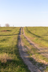 Fototapeta na wymiar road in a field