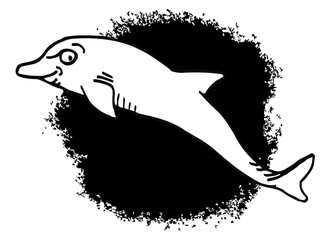 Obraz premium dolphin