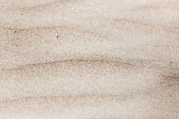 sand as a background