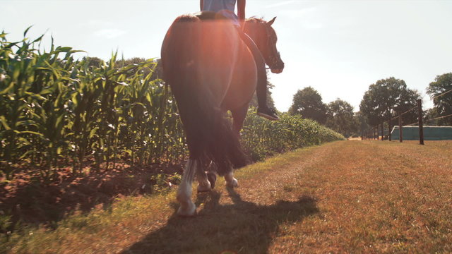 Girl on a lush green farm riding her horse 
