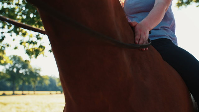 Girl sitting on a glossy horse touching it's side
