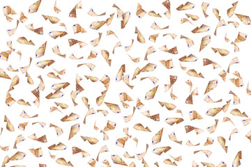 flying many 50 euro bills