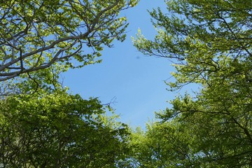 Blick zum Himmel