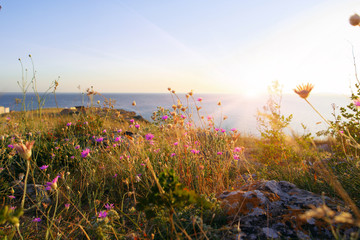 Naklejka premium Sea and desert landscape Crimean peninsula