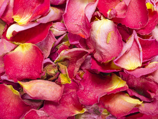 dried rose petals texture for background