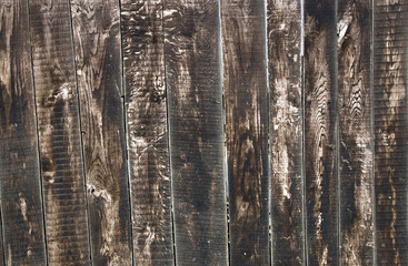 Obraz premium wood background