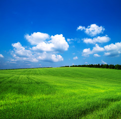 green field