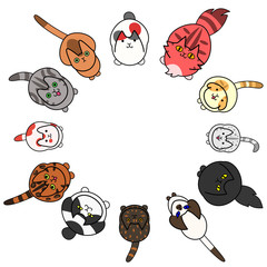 looking up cats in circle with copy space