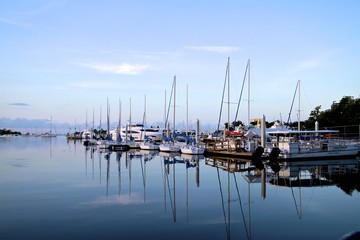 Fototapeta premium Coconut Grove marina, Sailboats