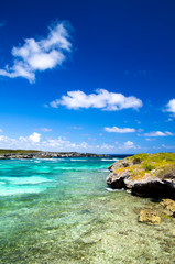 Fototapeta premium ocean