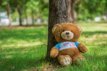 Teddy bears  on a meadow in the woods