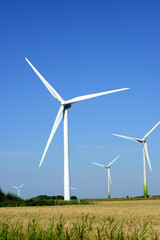 Fototapeta premium Windräder