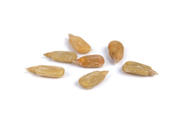 sunflower seeds pile against white background