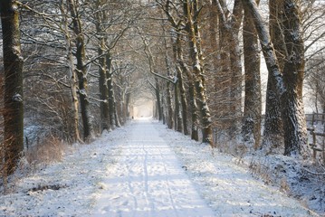 winter road