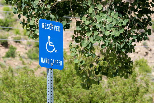 Blue "Reserved Handicapped" sign with green leaves