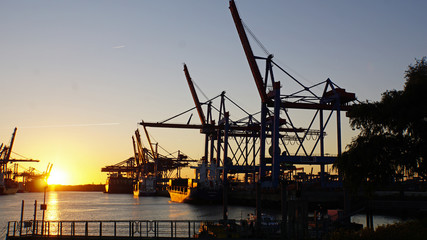 Fototapeta premium container terminal