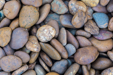Sea stones background brown