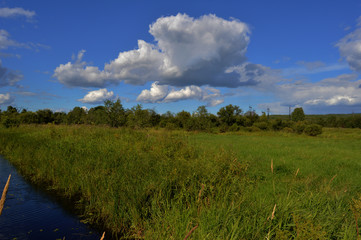 Русская степь