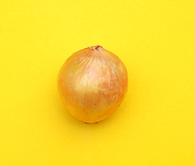 Ripe onion on yellow background (Pop art style)