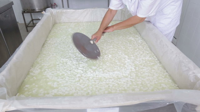 A woman working in a small family creamery is mixing a cheese batch. The dairy farm is specialized in buffalo yoghurt and cheese production.