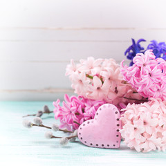 Background with fresh flowers hyacinths and decorative  pink hea