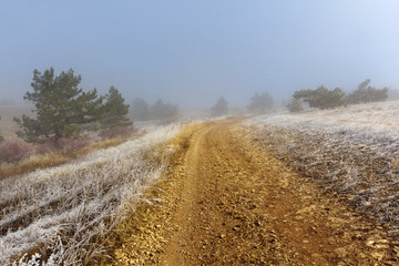 Naklejka premium ground road in a mist