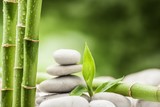 spa concept with zen basalt stones and bamboo