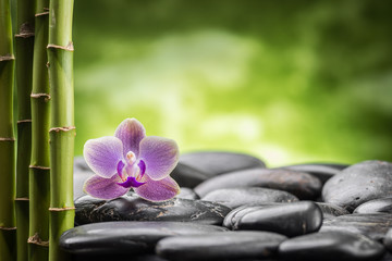 spa concept with zen basalt stones,bamboo and orchid