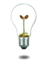 Light Bulb with Money Tree