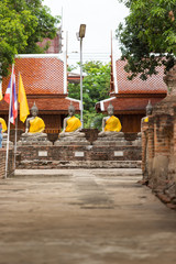 buddha statue