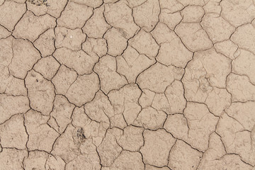 Сracked earth.