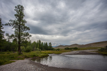 harsh sky