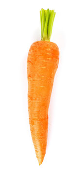 Fresh ripe carrot isolated on white