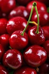 Sweet cherries, close-up