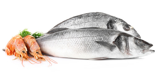 Seafood collection isolated on white