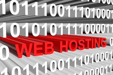 hosting presented in the form of binary code