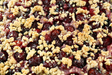 Tasty homemade pie with cherries close up
