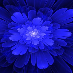 Blue fractal Bloom with white in the middle