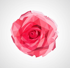 polygonal rose that bloomed - 88793778