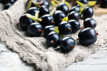 Ripe black currants on sackcloth, closeup