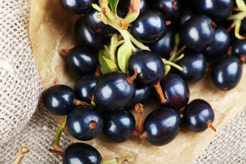 Ripe black currants on sackcloth, closeup