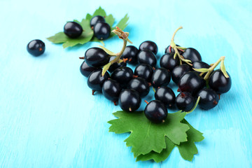 Ripe black currants on blue wooden background