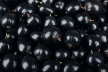 Heap of wild black currant close up