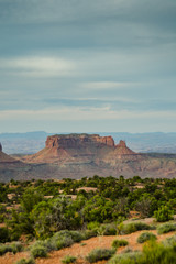 Desert and Rock Formation in Canyonlands Island in the Sky